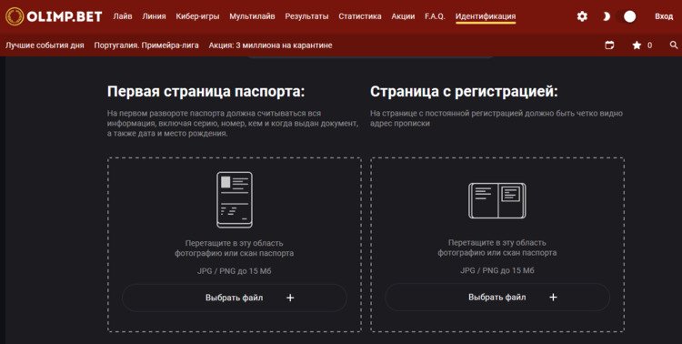 Идентификация онлайн в БК