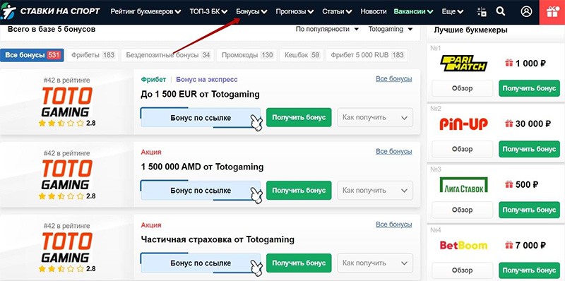 Вся информация о бонусных акциях на сайте Stavkinasport.com