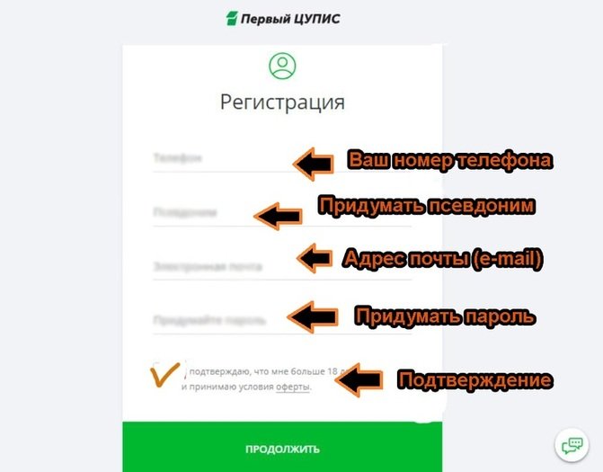 Заполнение анкеты в ЦУПИС