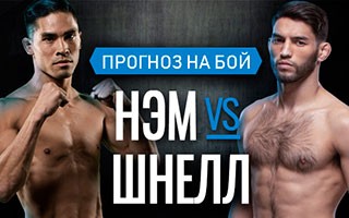 Прогноз Нэм — Шнелл
