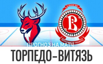 Прогноз Торпедо — Витязь