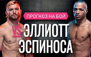 Прогноз Эллиотт — Эспиноса