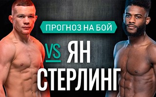 Прогноз Ян — Стерлинг