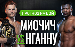 Прогноз Миочич — Нганну