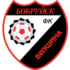 Белшина