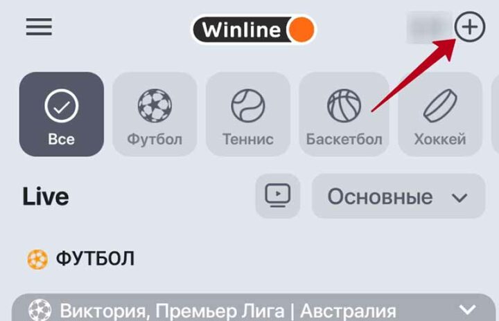 Депозит в Винлайн