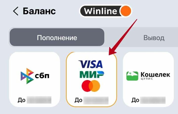 Пополнение в Винлайн