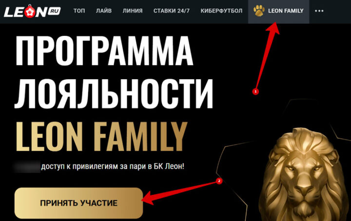 Бонусная программа букмекера