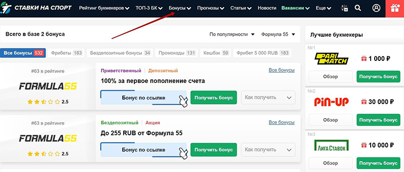 Бонусный раздел на сайте Stavkinasport.com