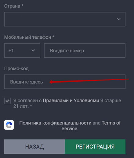 Поле для ввода промокода находится в регистрационной форме