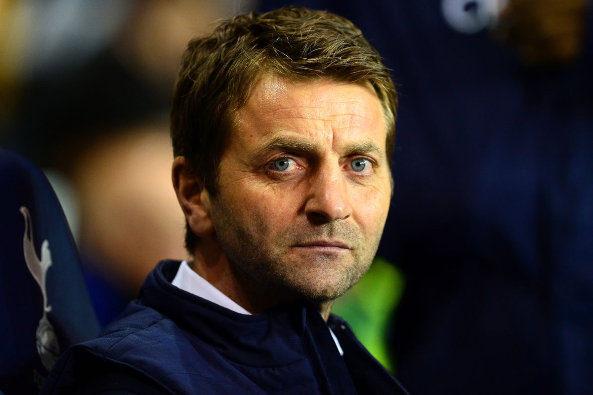 Тим Шервуд. Тим Шервуд Тоттенхэм. Тим Шервуд футболист. Tim Sherwood Play Football.