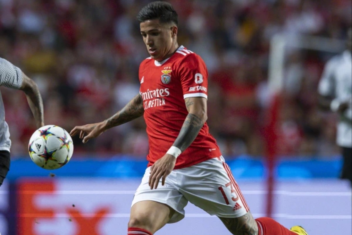 Энцо Фернандес