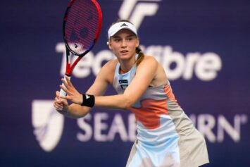 Чесноков назвал игру Рыбакиной невероятной