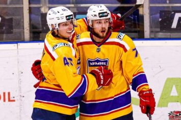 В финале плей-офф ВХЛ встретятся «Химик» и «Сокол»