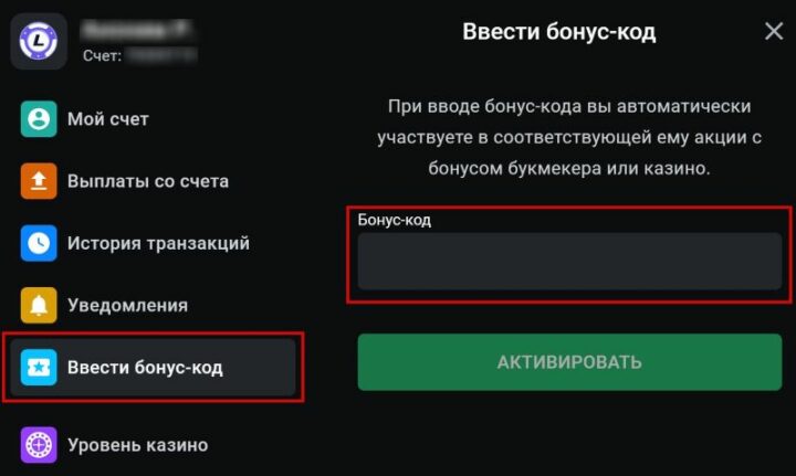 Ввод промокода