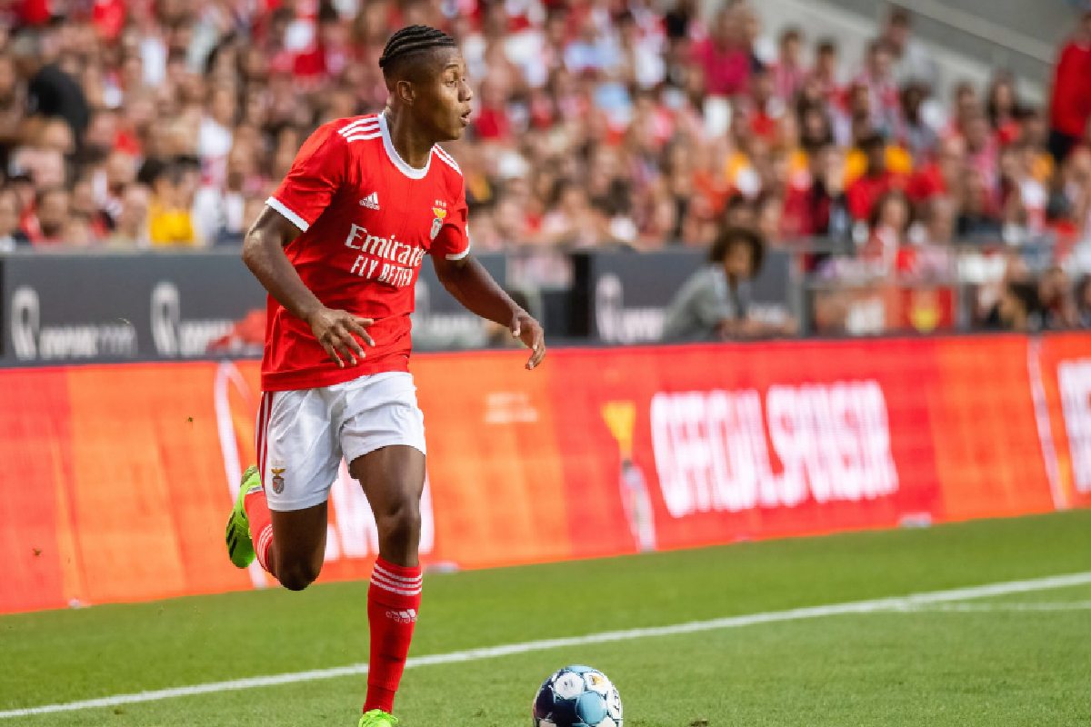 Давида Нерес