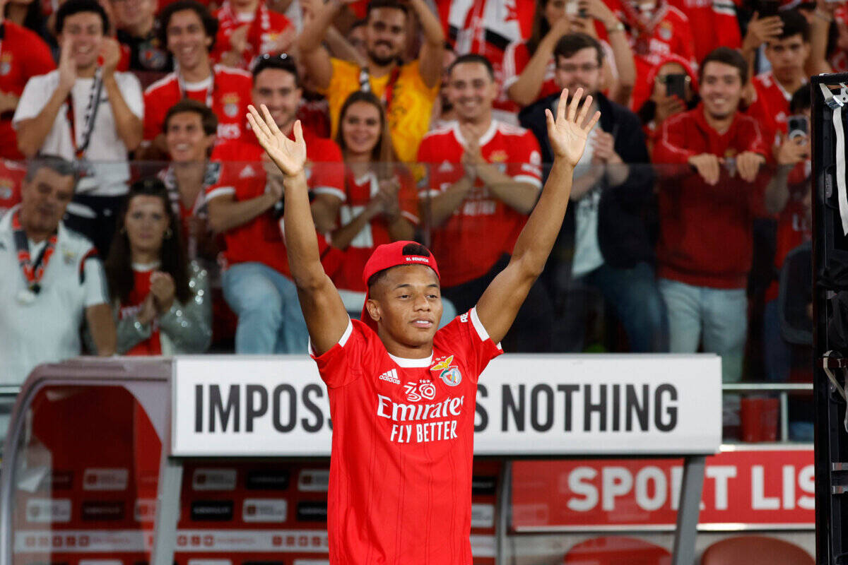 Давид Нерес