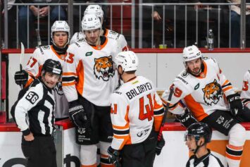 «Амур» — «Металлург»: хабаровчане воспользуются преимуществом домашней площадки, чтобы сравнять счет в серии. Ставка за кэф 3.15