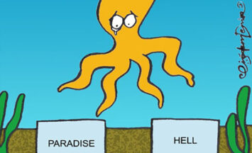 Все о прогнозах осьминога Пауля в спорте