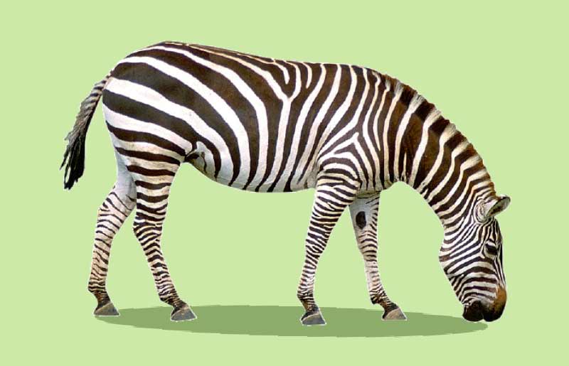 Как прервать серию поражений