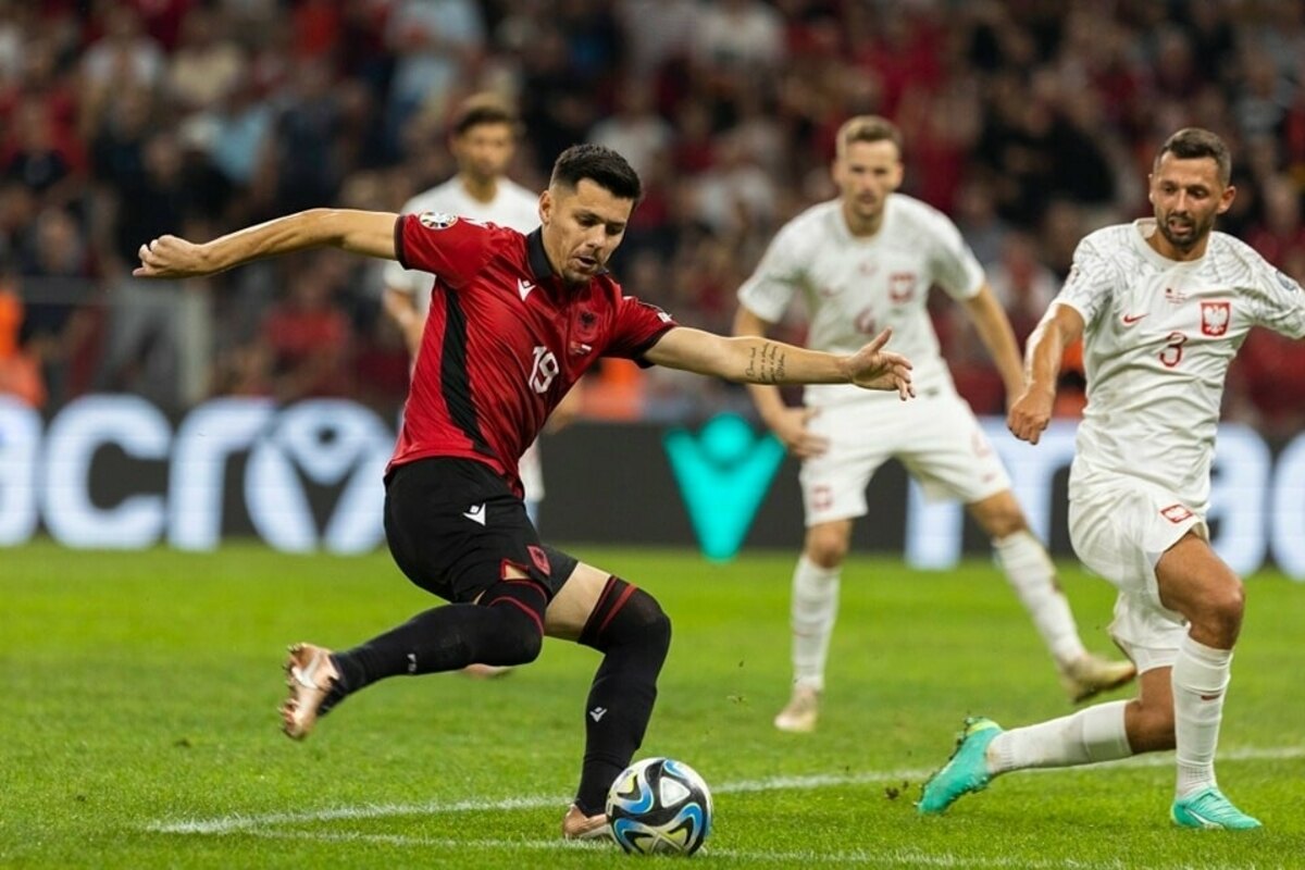 В Сербии призвали понять и простить Даку за публичные оскорбления на Евро-2024