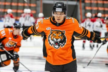 Плющев: «Амур» ошибся, отправив Мартемьянова в отставку»