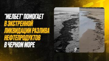БК Мелбет присоединилась к ликвидации экологической катастрофы в Черном море