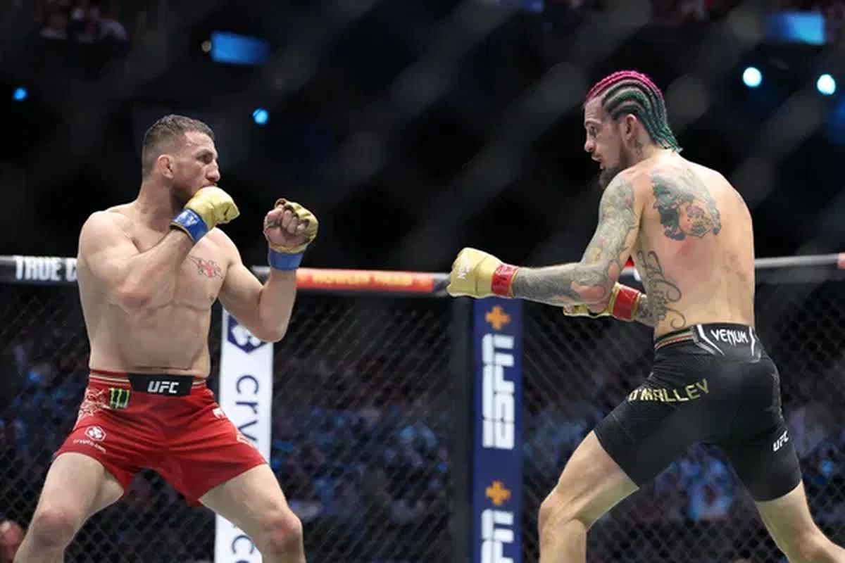 Двалишвили и О'Мэлли