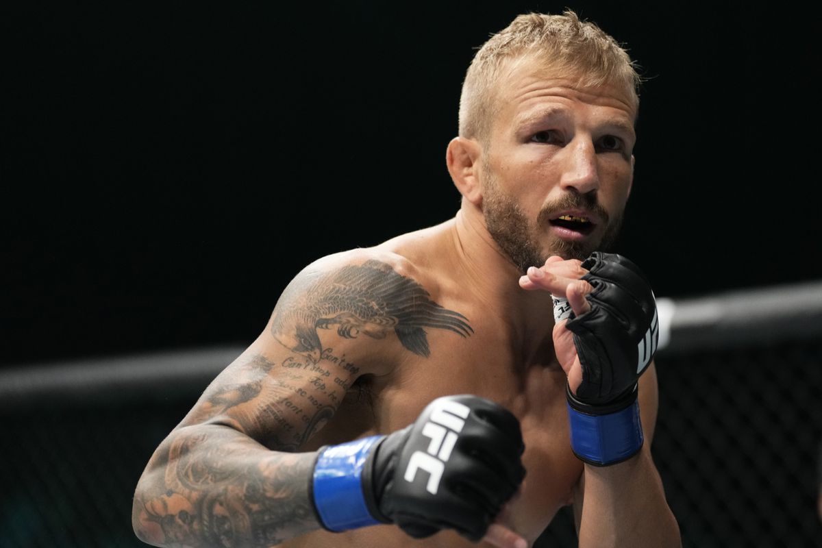 Ти Джей Диллашоу