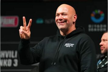 Дэйна Уайт анонсировал боксерский проект по образцу «Претендентской серии»