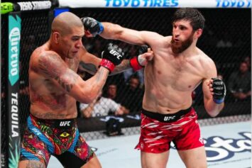 Перейра обрушился с критикой на Анкалаева за «прятки» в UFC PI