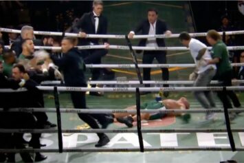 Вандерлей Силва и Аселину Фрейтас получили наказание за потасовку после боя