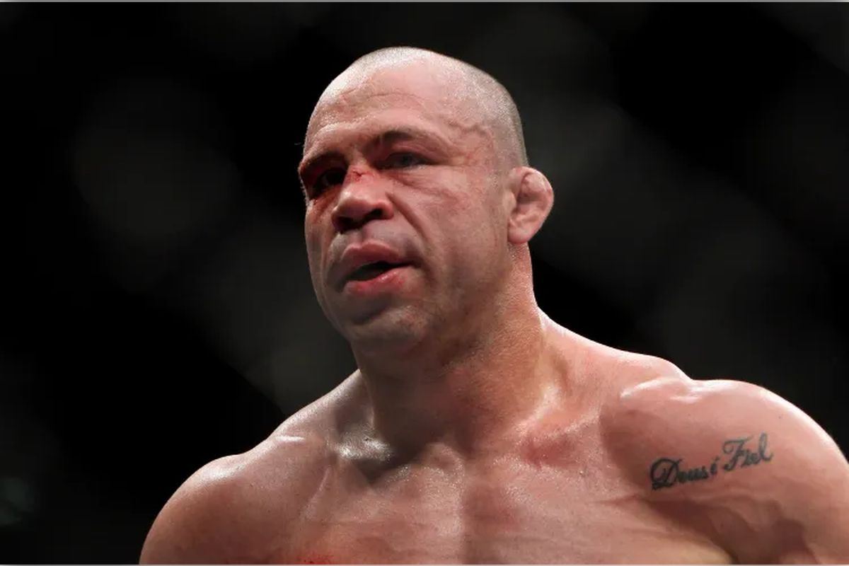 Вандерлей Силва