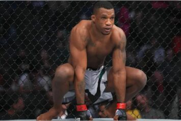 Алмейда высказался о слабых сторонах Волкова перед UFC 321