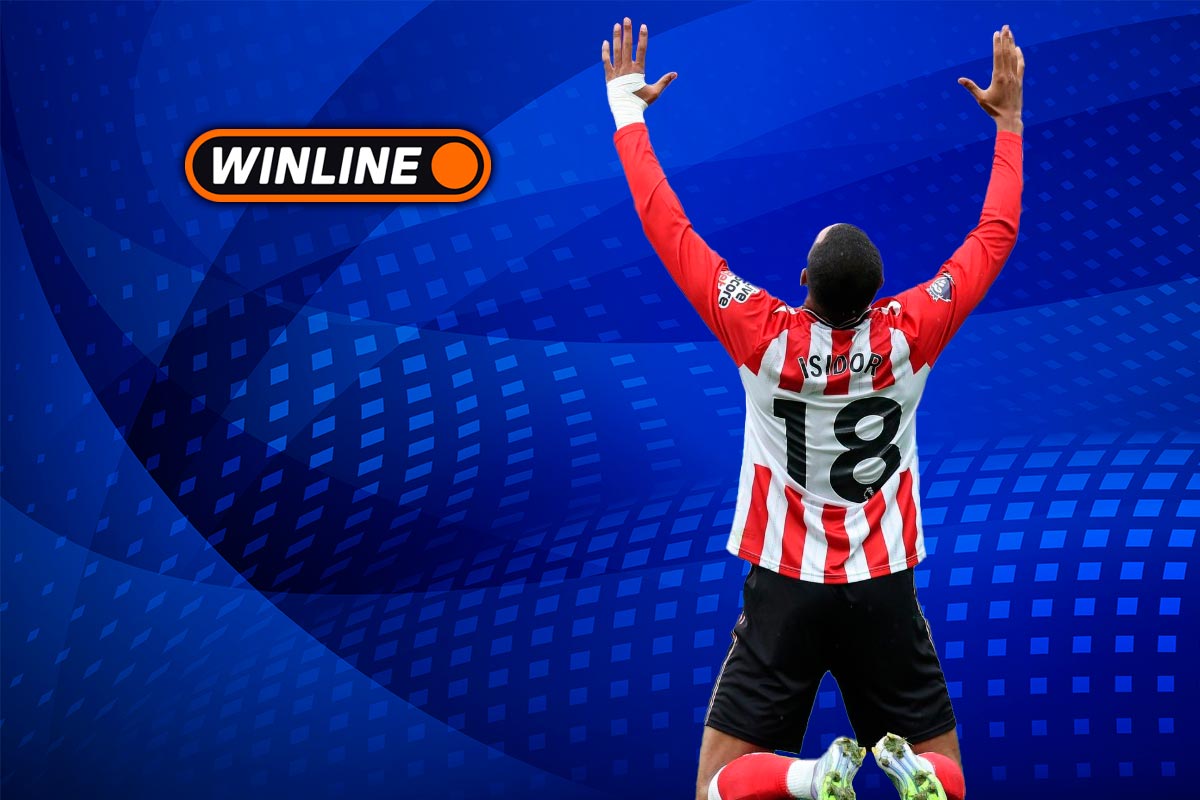 Верняк дня 3 ноября