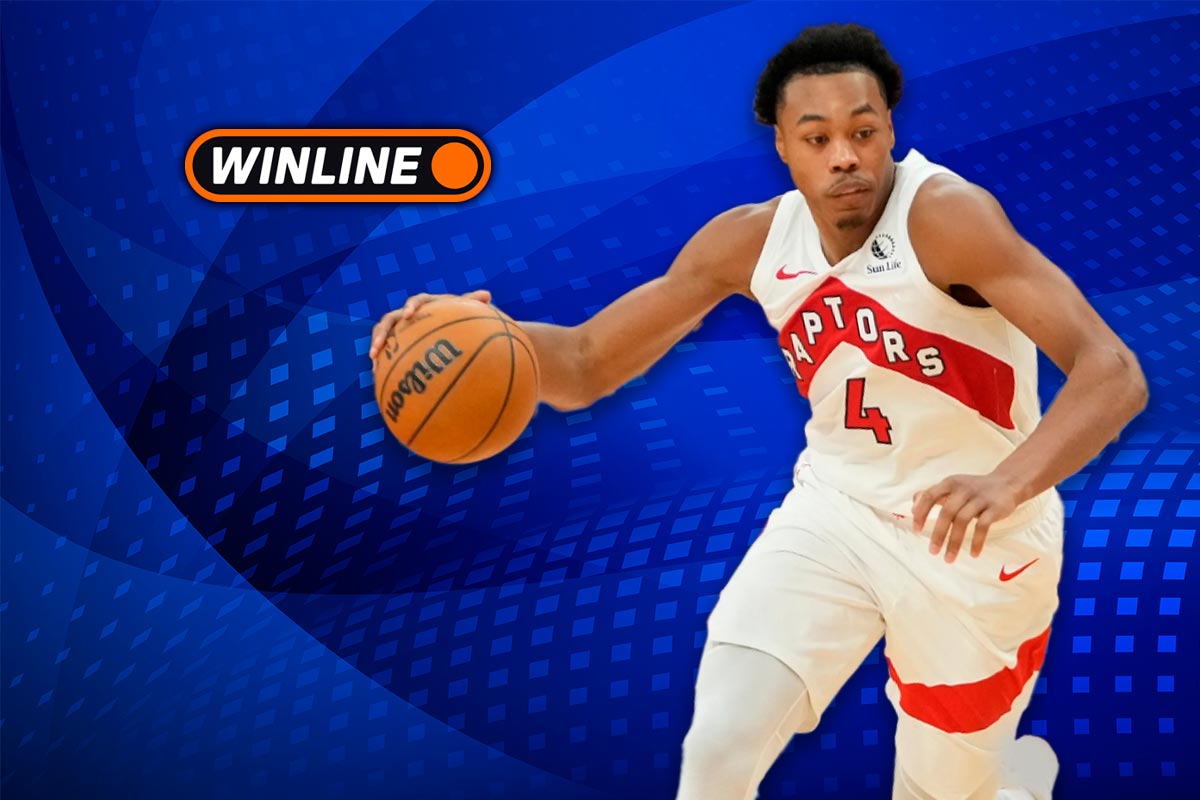 Верняк дня 12 ноября