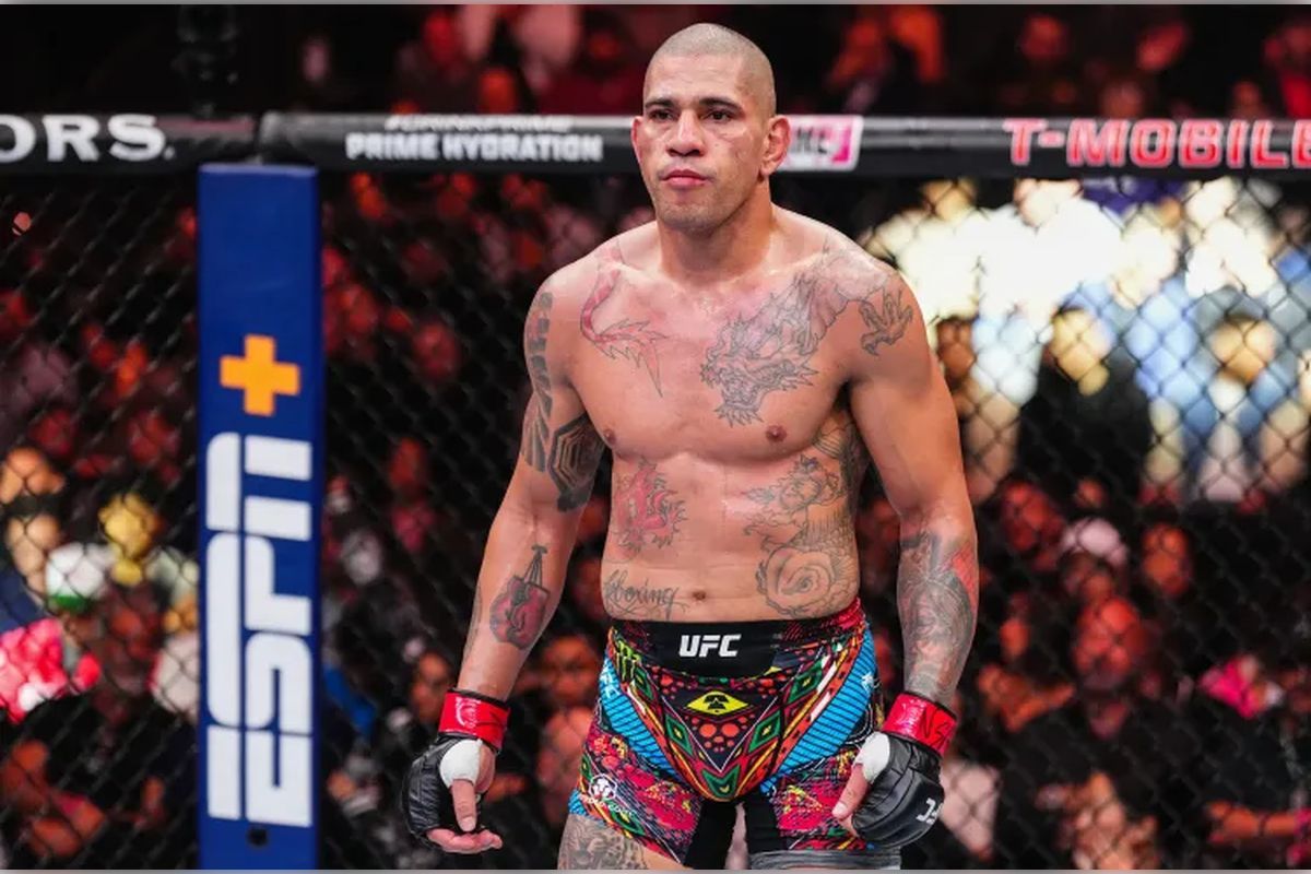 Алекс Перейра