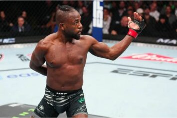 Капе раскритиковал стиль чемпиона UFC Вана