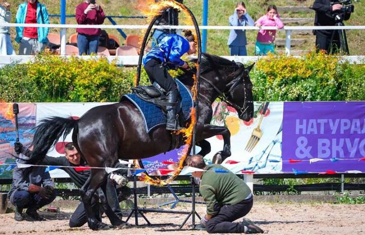 Конный спорт