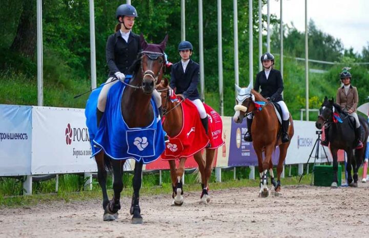 Лаборатория конного спорта