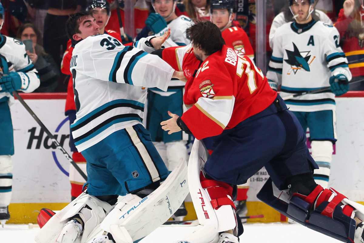 Неделькович Бобровский