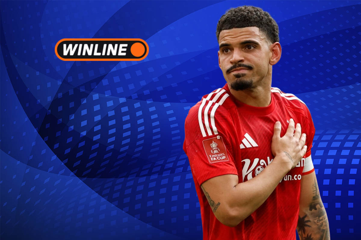 Верняк на 11 февраля