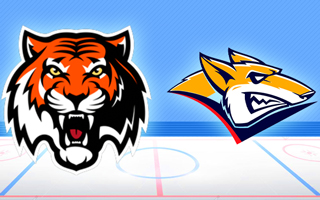 Прогноз Амур — Металлург