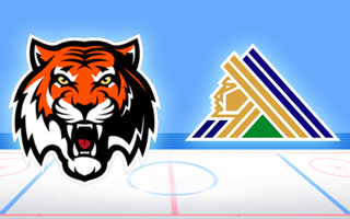 Прогноз Амур — Салават Юлаев