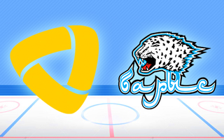 Прогноз Северсталь — Барыс