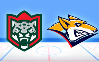 Прогноз Ак Барс — Металлург