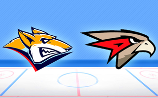 Прогноз Металлург — Авангард