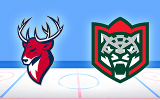 Прогноз Торпедо — Ак Барс