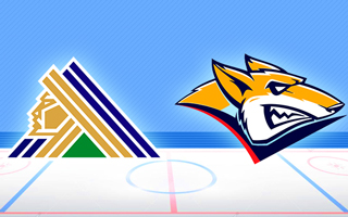 Прогноз Салават Юлаев — Металлург