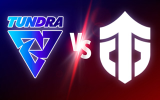 Прогноз Tundra Esports — Entity